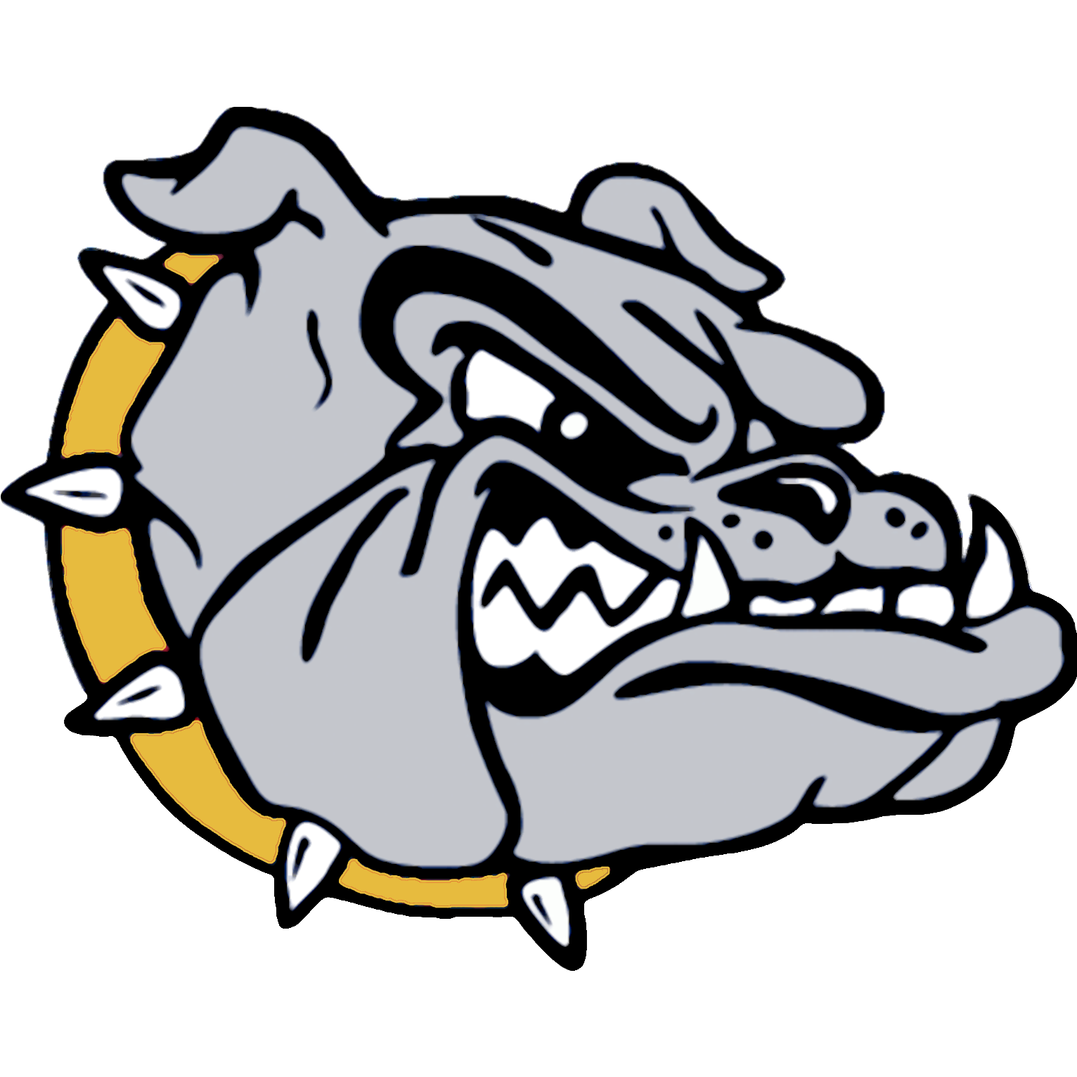 Drummond Bulldogs