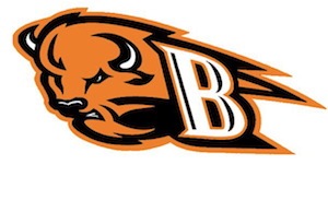 Bison Logo