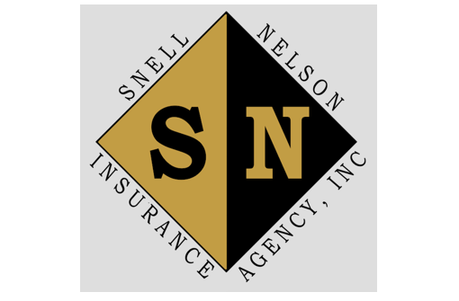 NELSON INSURANCE